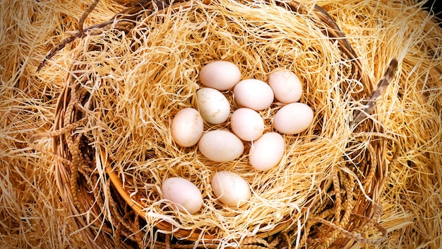 Fresh Duck&#39;s Eggs nel cesto di pagliaio in azienda