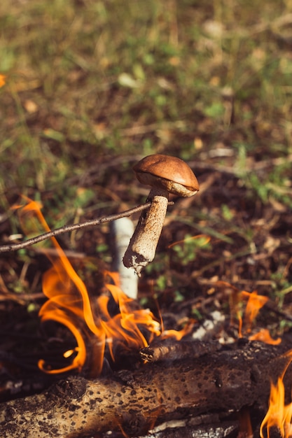 Frittura di funghi al rogo in un&#39;escursione nei boschi