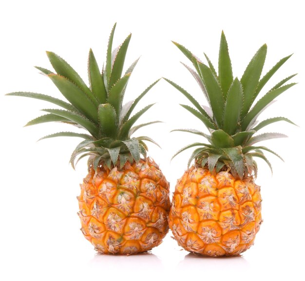 Fruti tropicali di ananas o ananas isolati su uno sfondo bianco