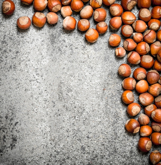 Frutta a guscio fresca. La nocciola. Su fondo rustico.