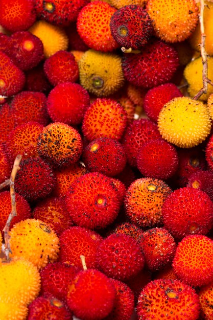 Frutta del corbezzolo (Arbutus Unedo)