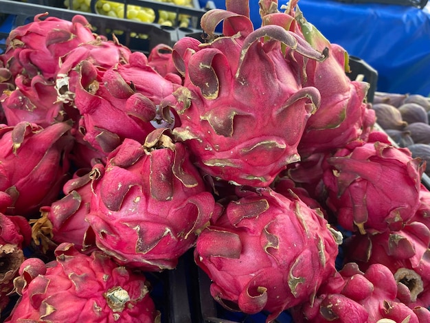 Frutta del drago con un sacco di frutta del drago su uno sfondo Frutta del drago o pitaya tropicale