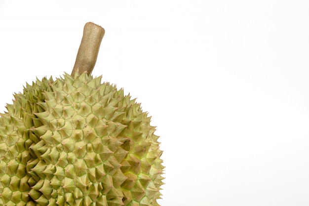 Frutta del Durian del primo piano su fondo bianco, re di frutta in Tailandia sudorientale asiatica