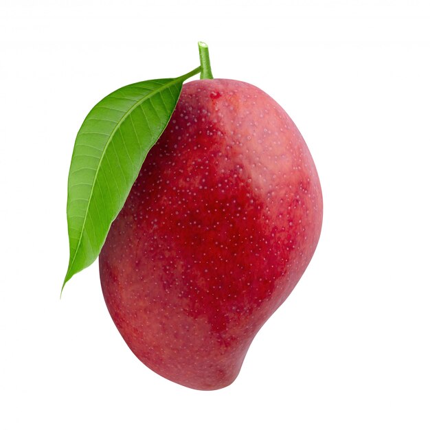Frutta del mango isolata su bianco