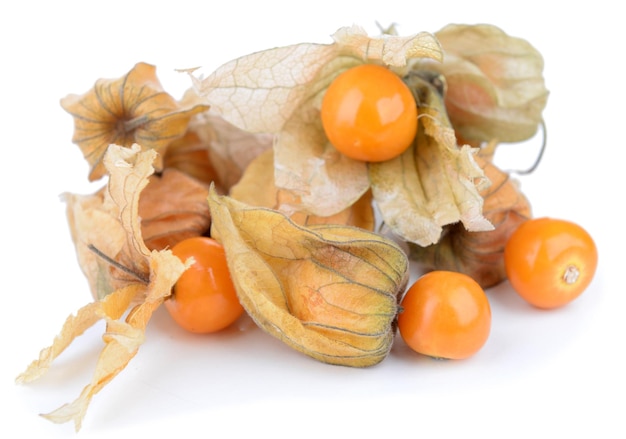 Frutta del Physalis isolata su bianco