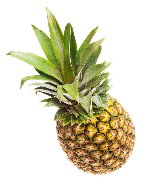 Frutta dell'ananas isolata su white