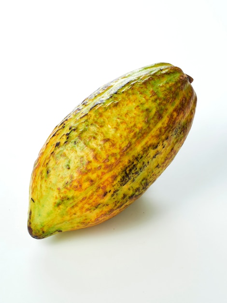 Frutta di cacao su sfondo bianco