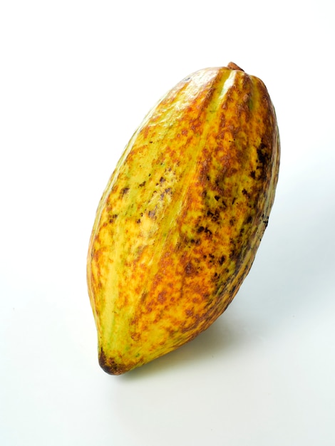 Frutta di cacao su sfondo bianco