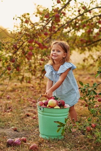 Frutta di cibo del bambino al raccolto di caduta.