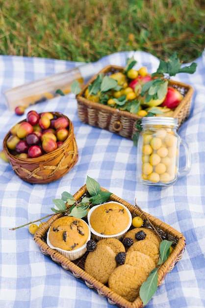 Frutta e bacche in cestini da picnic su una tovaglia a quadretti bianca blu su un prato verde e dolci freschi.