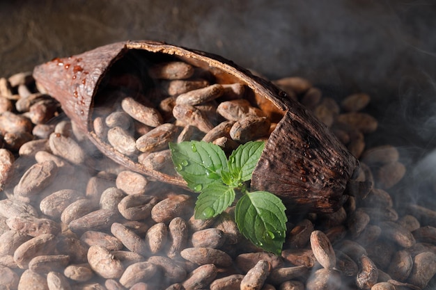 frutta e fagioli di cacao sono sdraiati sul tavolo con il fumo