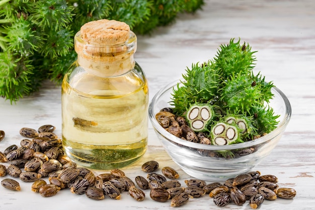 Frutta e olio di ricino in una ciotola sul tavolo Ricinus communis