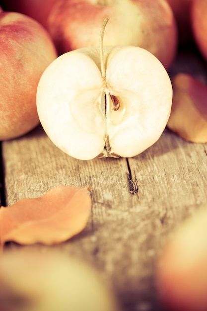 Frutta e verdura in autunno all'aperto. Concetto di festa del Ringraziamento