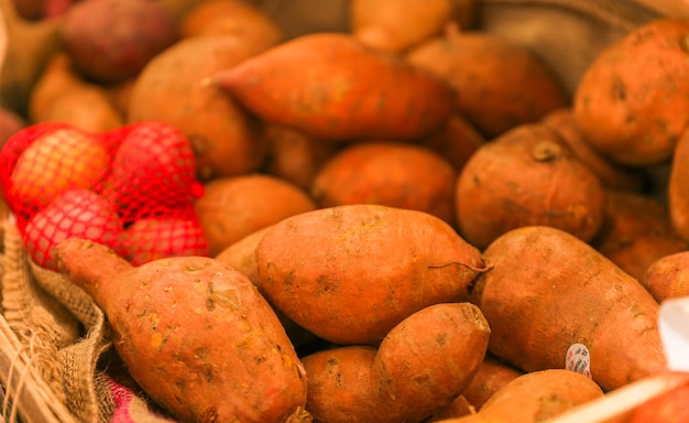 frutta e verdura simboleggiano la crescita e la diversità nutrizionale patate pomodori cipolle appl