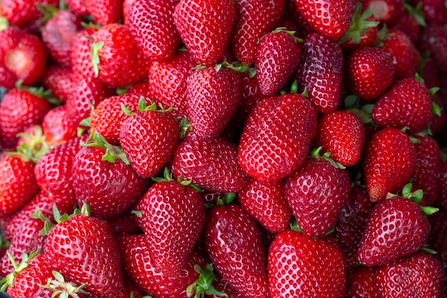 Frutta fresca, biologica, deliziosa; fragola nel mercato