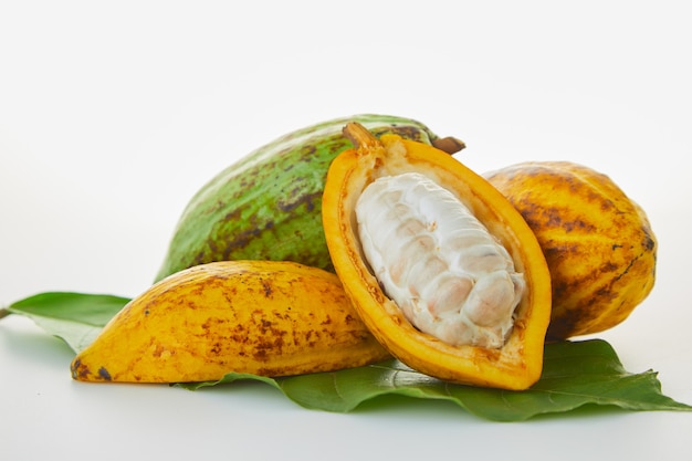 Frutta fresca del cacao con la foglia verde su fondo bianco