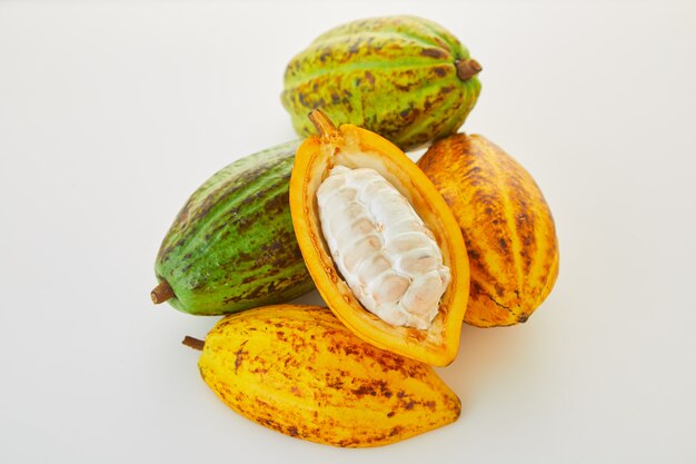 Frutta fresca del cacao con la foglia verde su fondo bianco