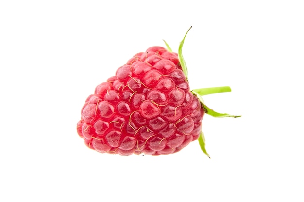 Frutta fresca del lampone rosso isolata