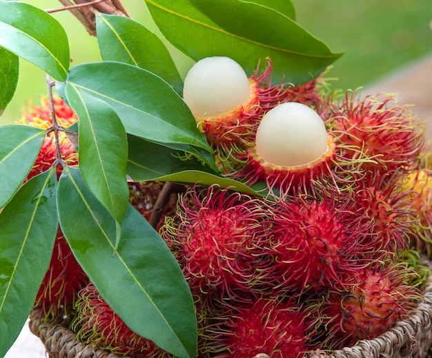 Frutta fresca di Rambutan Rosso in cestino