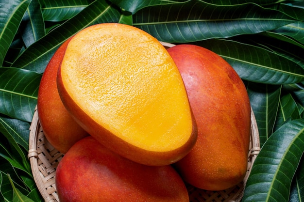 Frutta fresca e succosa di mango in cesto di legno di bambù su sfondo verde da foglie primo piano macro spazio di copia Concetto di raccolto estivo tropicale