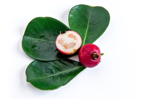 Frutta rossa Psidium cattleyanum su sfondo bianco Foglia e frutta Cattley guava