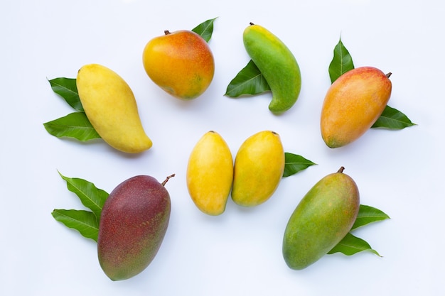 Frutta tropicale, mango con foglie su sfondo bianco.