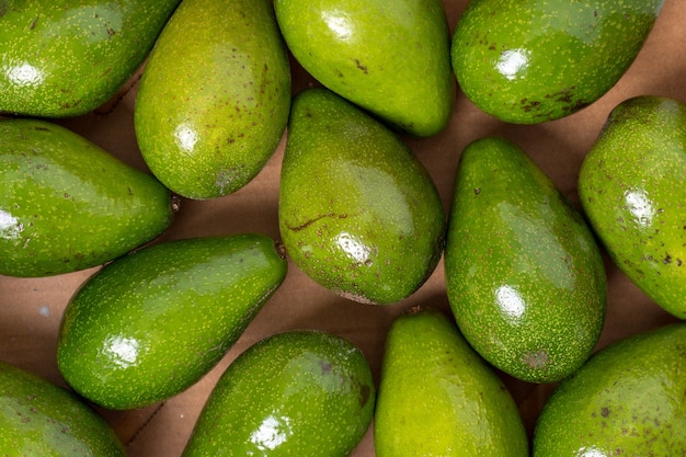 Frutti di avocado maturi in scatola
