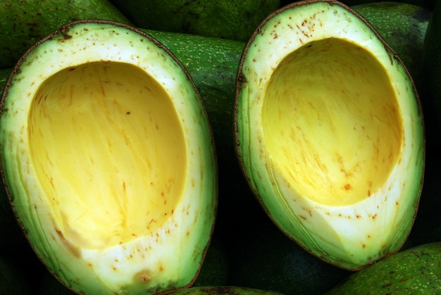 Frutti di avocado verdi