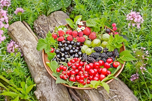 Frutti di bosco misti