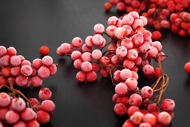 Frutti di bosco rossi congelati di viburno