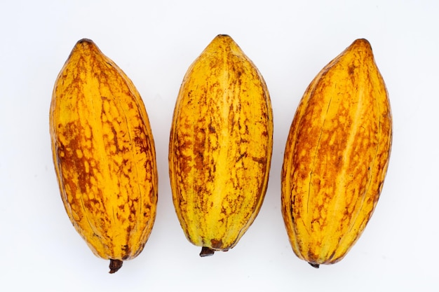 Frutti di cacao isolati su sfondo bianco