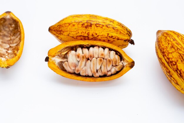 Frutti di cacao isolati su sfondo bianco