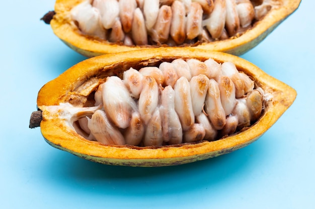 Frutti di cacao su sfondo blu