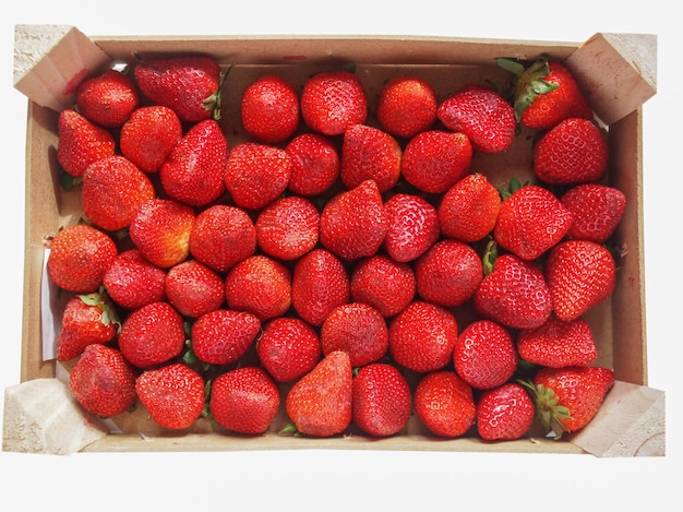 Frutti di fragole