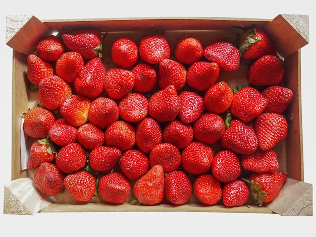 Frutti di fragole