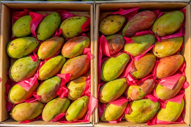 Frutti di mango crudi sul mercato di strada in Egitto