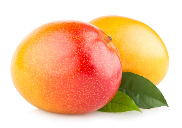 Frutti di mango isolati su sfondo bianco