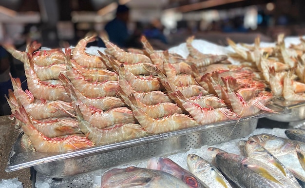 Frutti di mare in mostra al mercato del pesce