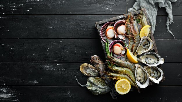 Frutti di mare Ostriche capesante gamberetti Vista dall'alto su sfondo nero Spazio di copia libero