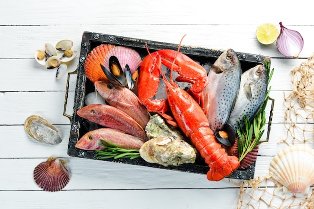 Frutti di mare su sfondo bianco. Aragosta, pesce, crostacei. Vista dall'alto. Spazio di copia gratuito.