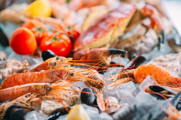 Frutti di mare sul ghiaccio. Granchi, storioni, crostacei, gamberi, Rapana, Dorado, su ghiaccio bianco.