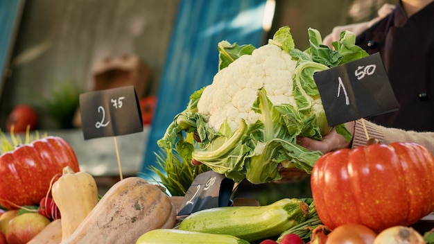 Fruttivendolo femminile che detiene il prodotto di cavolfiore per i clienti, vendendo prodotti biologici biologici con cagliata e foglie. Venditore del mercato degli agricoltori con grembiule che mostra verdure fresche naturali. Avvicinamento.