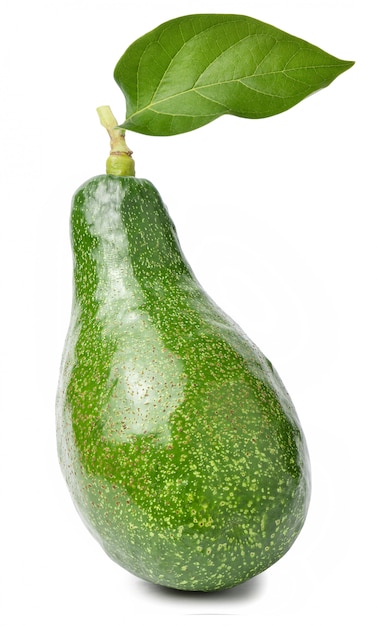Frutto dell'avocado isolato su uno spazio bianco