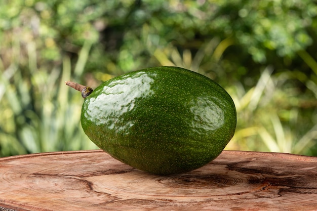 Frutto di avocado verde isolato su superficie sfocata.