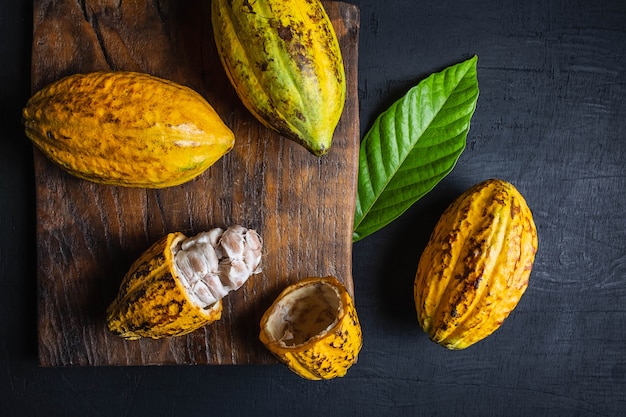 Frutto di cacao fresco