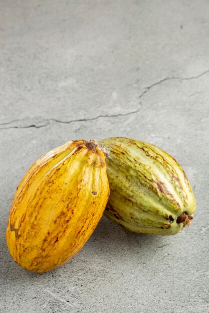 Frutto di cacao maturo sul tavolo