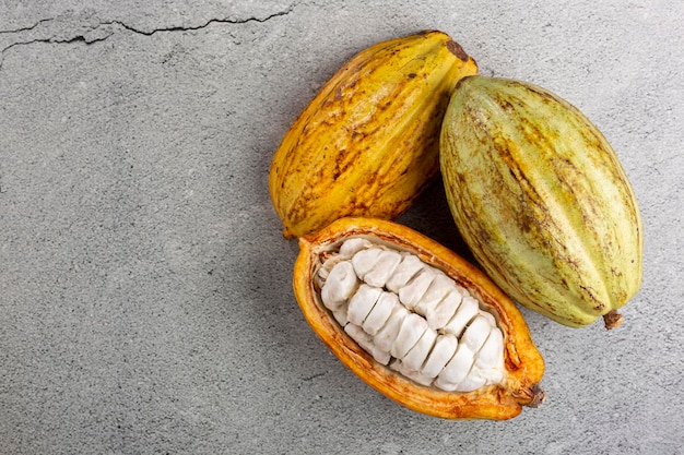 Frutto di cacao maturo sul tavolo