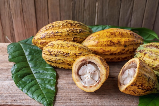 Frutto di cacao tagliato a metà e baccelli di cacao