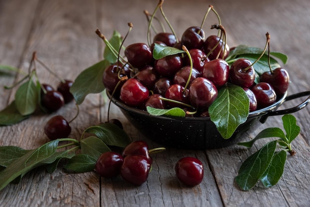 Frutto di ciliegio scuro maturo fresco con foglie verdi