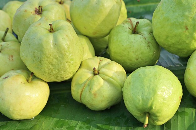 Frutto di guava al cibo di strada